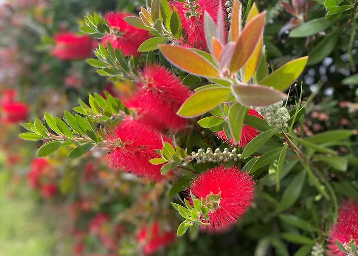 Ibis Budget Bilbao Arrigorriaga