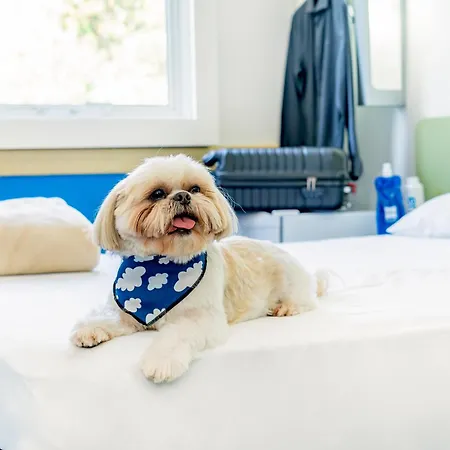 Casa de hóspedes Ibis Budget Bilbao