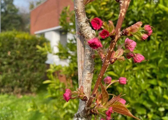 Pensionat Ibis Budget Bilbao