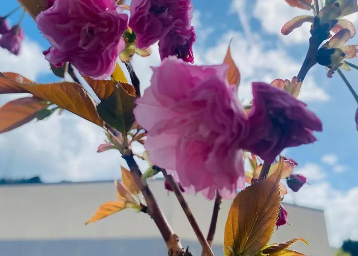 Ibis Budget Bilbao Pensionat Arrigorriaga