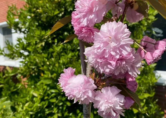 Ibis Budget Bilbao Pensionat Arrigorriaga